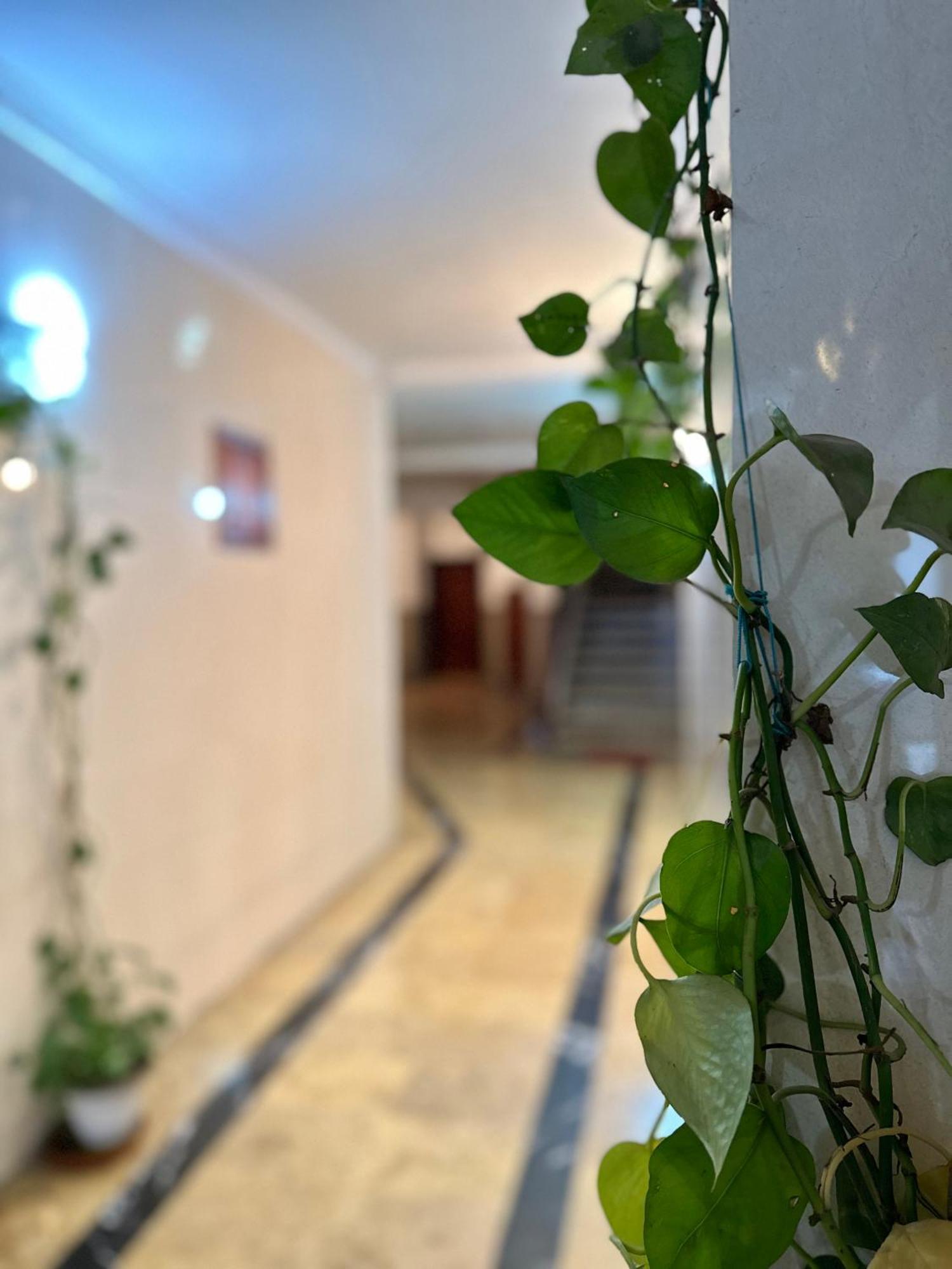 Casa Central Tétouan Ngoại thất bức ảnh